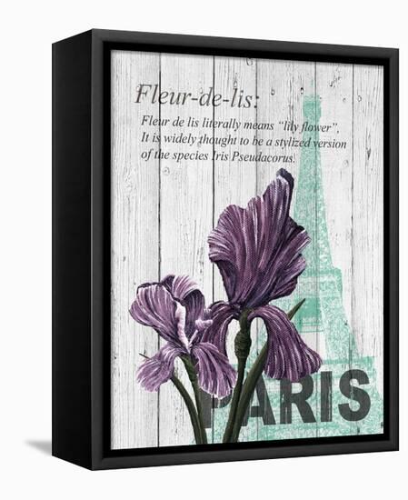 Paris Iris-Alicia Soave-Framed Stretched Canvas