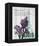 Paris Iris-Alicia Soave-Framed Stretched Canvas