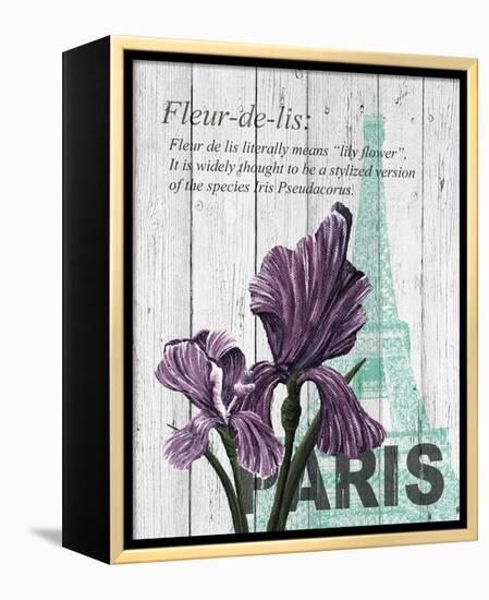 Paris Iris-Alicia Soave-Framed Stretched Canvas