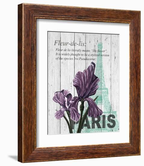 Paris Iris-Alicia Soave-Framed Art Print