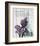 Paris Iris-Alicia Soave-Framed Art Print