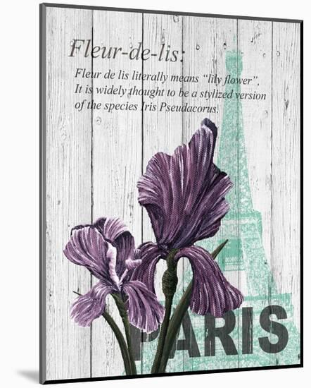 Paris Iris-Alicia Soave-Mounted Art Print