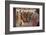 Paris la Nuit dans Un Dancing de Montmartre-Manuel Orazi-Framed Photographic Print