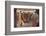 Paris la Nuit dans Un Dancing de Montmartre-Manuel Orazi-Framed Photographic Print