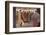 Paris la Nuit dans Un Dancing de Montmartre-Manuel Orazi-Framed Photographic Print