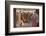 Paris la Nuit dans Un Dancing de Montmartre-Manuel Orazi-Framed Photographic Print