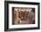 Paris la Nuit dans Un Dancing de Montmartre-Manuel Orazi-Framed Photographic Print