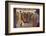 Paris la Nuit dans Un Dancing de Montmartre-Manuel Orazi-Framed Photographic Print