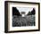 Paris Liberation-Peter J. Carroll-Framed Photographic Print