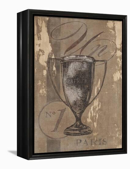 Paris Premier-Lisa Vincent-Framed Stretched Canvas