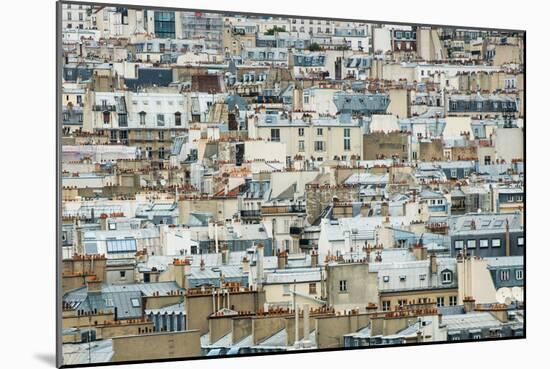 Paris Rooftops I-Erin Berzel-Mounted Photographic Print