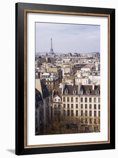 Paris Rooftops II-Rita Crane-Framed Photographic Print