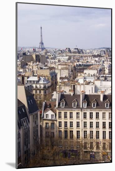 Paris Rooftops II-Rita Crane-Mounted Photographic Print