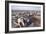 Paris Rooftops III-Rita Crane-Framed Photographic Print