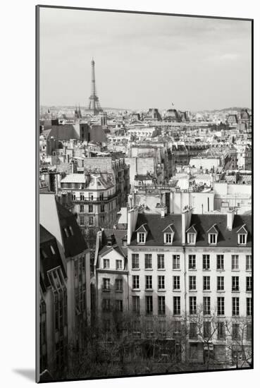 Paris Rooftops VI-Rita Crane-Mounted Photographic Print