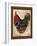 Paris Rooster II-Jennifer Garant-Framed Giclee Print