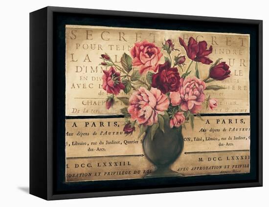 Paris Rose I-Kimberly Poloson-Framed Stretched Canvas