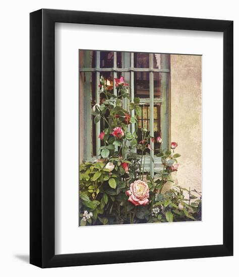 Paris Roses-Dawne Polis-Framed Art Print