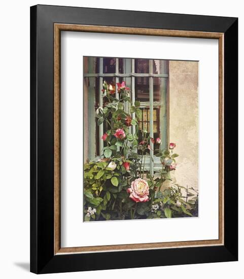 Paris Roses-Dawne Polis-Framed Art Print