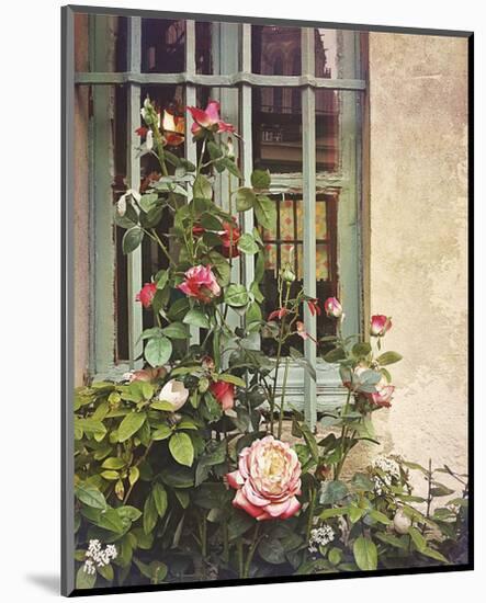 Paris Roses-Dawne Polis-Mounted Art Print