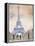 Paris Street 2-Madelaine Morris-Framed Stretched Canvas
