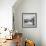 Paris sur Seine Collection - Morning on the Seine II-Philippe Hugonnard-Framed Photographic Print displayed on a wall