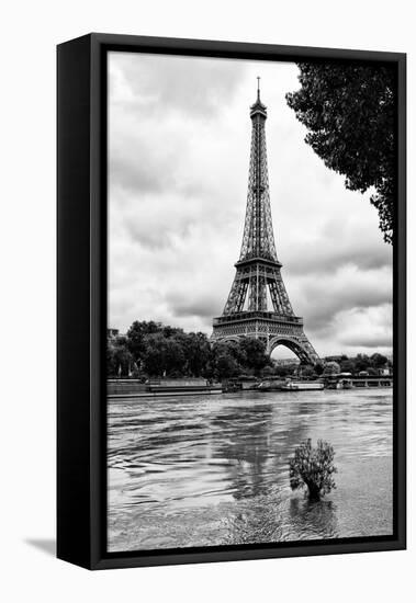 Paris sur Seine Collection - Solitary Tree-Philippe Hugonnard-Framed Premier Image Canvas