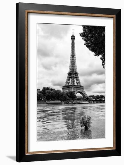 Paris sur Seine Collection - Solitary Tree-Philippe Hugonnard-Framed Photographic Print
