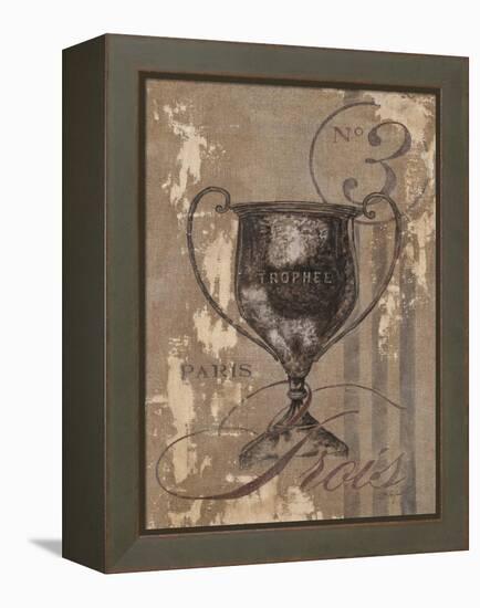 Paris Trophee-Lisa Vincent-Framed Stretched Canvas