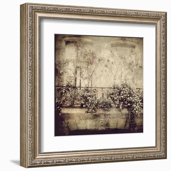 Paris Window Garden-Dawne Polis-Framed Art Print