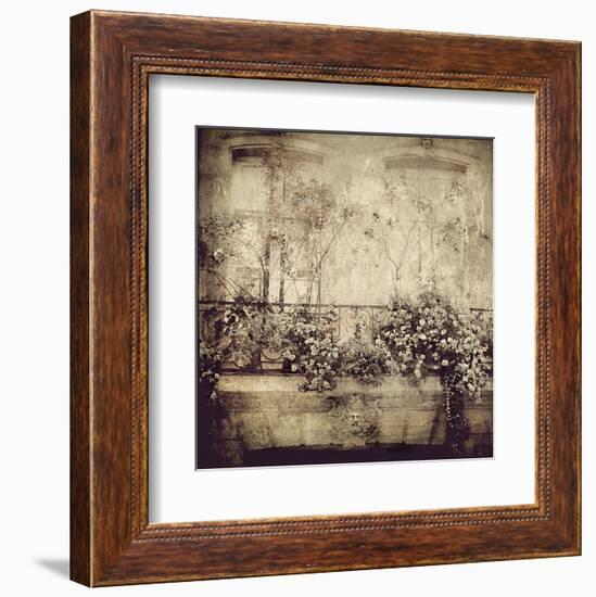 Paris Window Garden-Dawne Polis-Framed Art Print