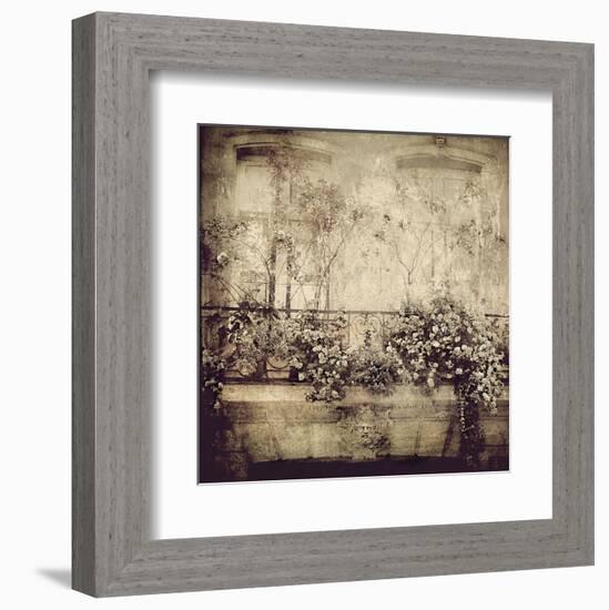 Paris Window Garden-Dawne Polis-Framed Art Print