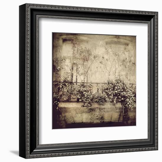 Paris Window Garden-Dawne Polis-Framed Art Print