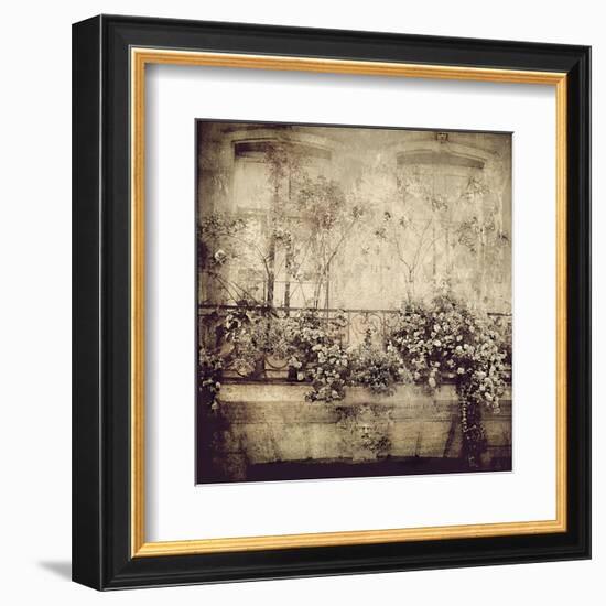 Paris Window Garden-Dawne Polis-Framed Art Print