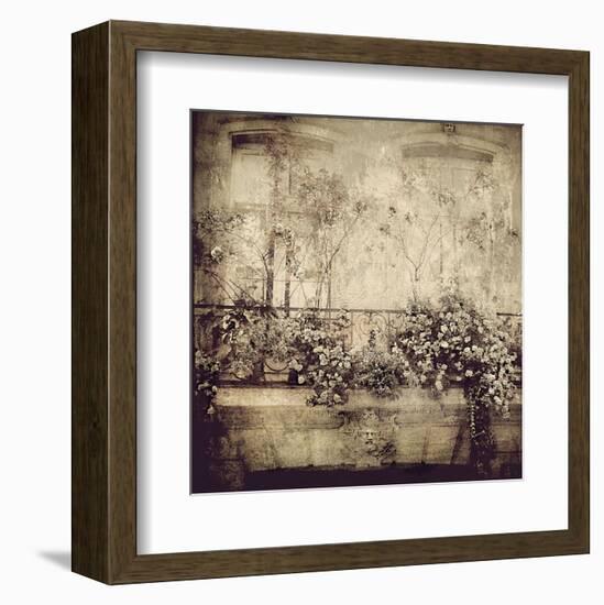 Paris Window Garden-Dawne Polis-Framed Art Print