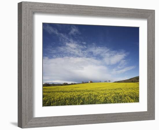 Parish Church in Field of Rape, Idsworth, Near Petersfield, Hampshire, England, UK, Europe-Jean Brooks-Framed Photographic Print