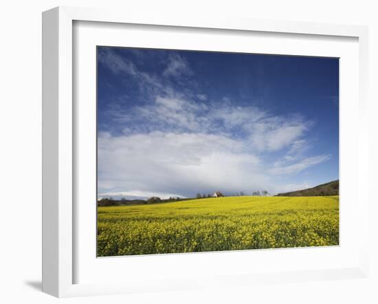 Parish Church in Field of Rape, Idsworth, Near Petersfield, Hampshire, England, UK, Europe-Jean Brooks-Framed Photographic Print