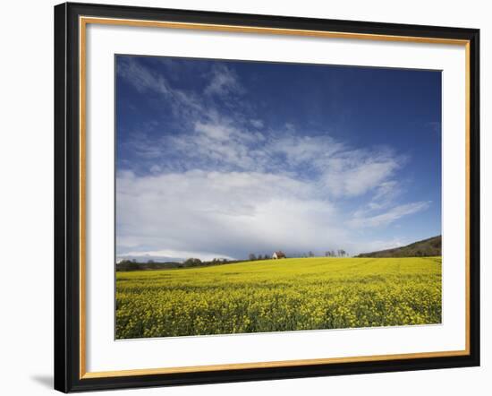 Parish Church in Field of Rape, Idsworth, Near Petersfield, Hampshire, England, UK, Europe-Jean Brooks-Framed Photographic Print