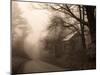 Parish Hill Road-Christine Triebert-Mounted Photographic Print