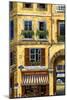 Parisian Bistro and Butcher Shop-Marilyn Dunlap-Mounted Art Print