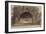 Parisian Fountains-Jean-Marie Amelin-Framed Giclee Print