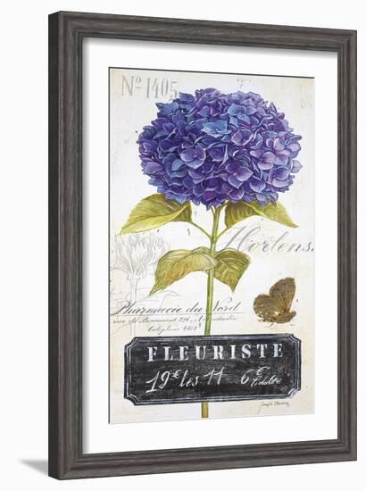 Parisian Hydrangea-Angela Staehling-Framed Art Print