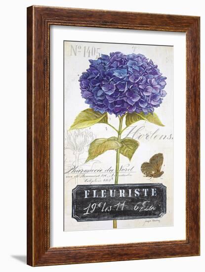 Parisian Hydrangea-Angela Staehling-Framed Art Print