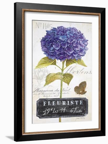 Parisian Hydrangea-Angela Staehling-Framed Art Print