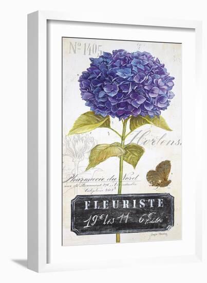 Parisian Hydrangea-Angela Staehling-Framed Art Print