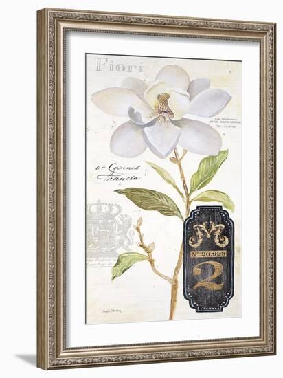 Parisian Magnolia-Angela Staehling-Framed Art Print