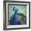 Parisian Peacock I-Elizabeth Medley-Framed Art Print