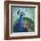 Parisian Peacock I-Elizabeth Medley-Framed Art Print