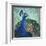 Parisian Peacock I-Elizabeth Medley-Framed Art Print