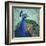 Parisian Peacock I-Elizabeth Medley-Framed Art Print